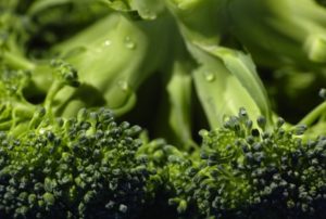 aiba a melhor época para consumir verduras como alfaces melhores!