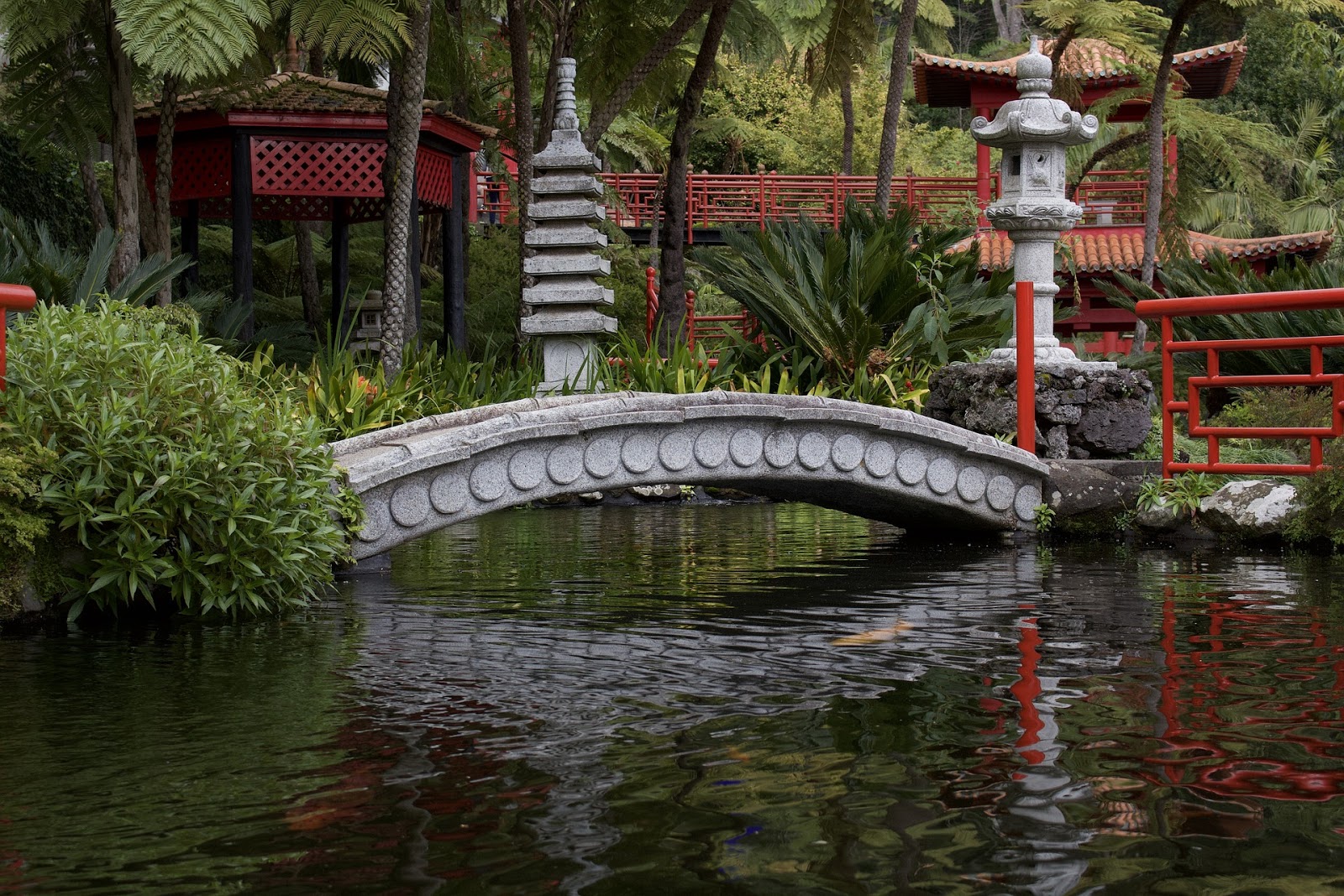 Saiba o que deve ter num jardim japonês!