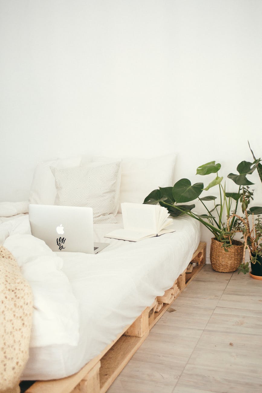 Como decorar o quarto com plantas